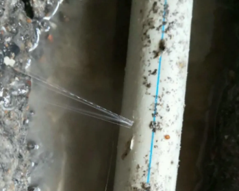 古蔺卫生间测漏水多少钱