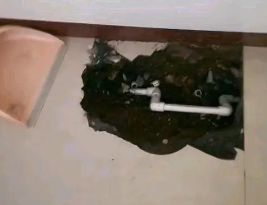 古蔺卫生间测漏水多少钱